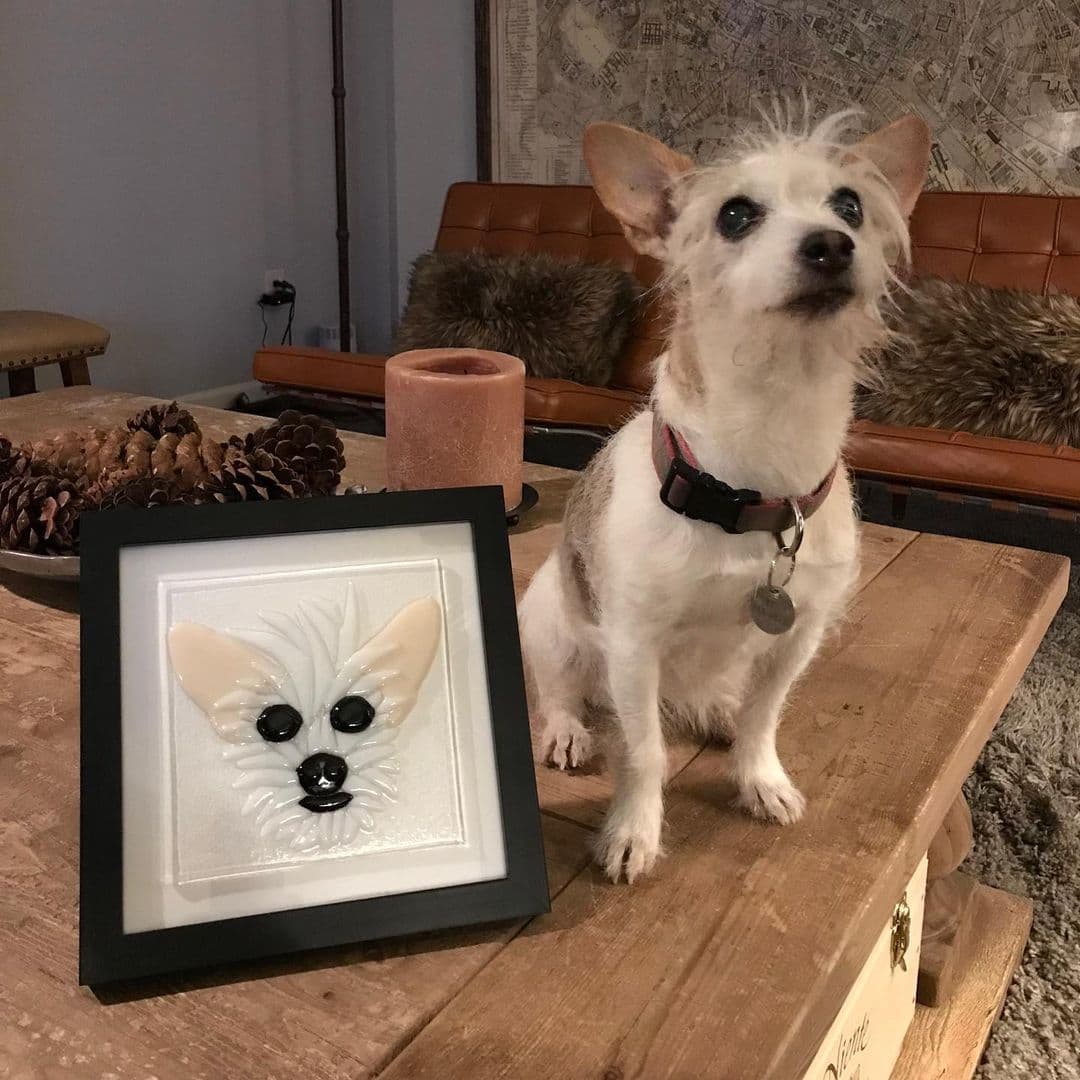 Dog with portrait